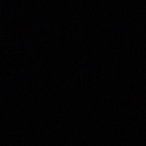 Meet your Posher, Tawisha